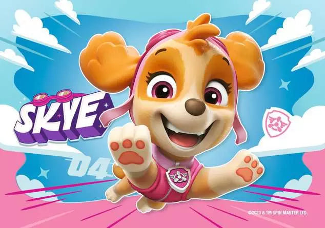 Paw Patrol My First Puzzles 4 x Chunky Jigsaw Puzzles