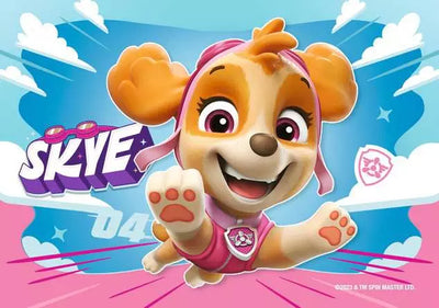 Paw Patrol My First Puzzles 4 x Chunky Jigsaw Puzzles