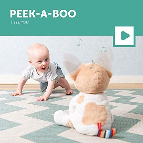 Zazu Danny  Peek A Boo Soft Toy With Flapping Ears And Sound