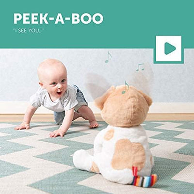 Zazu Danny  Peek A Boo Soft Toy With Flapping Ears And Sound