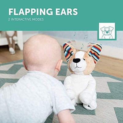 Zazu Danny  Peek A Boo Soft Toy With Flapping Ears And Sound