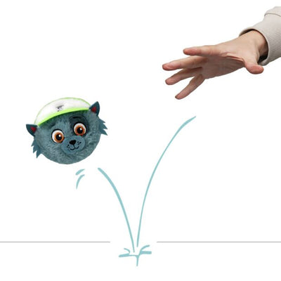 TY Paw Patrol Rocky Bouncer Soft Toy