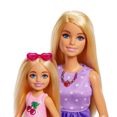 Barbie Malibu And Chelsea Doll Family And Friend 2 Pack