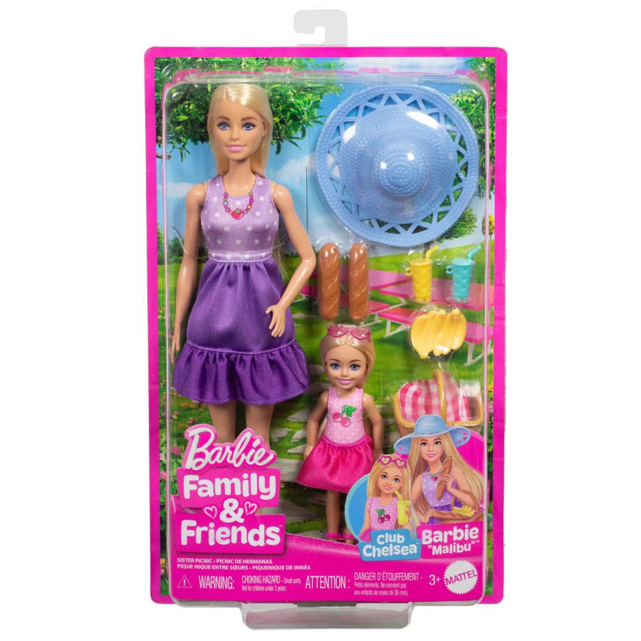 Barbie Malibu And Chelsea Doll Family And Friend 2 Pack