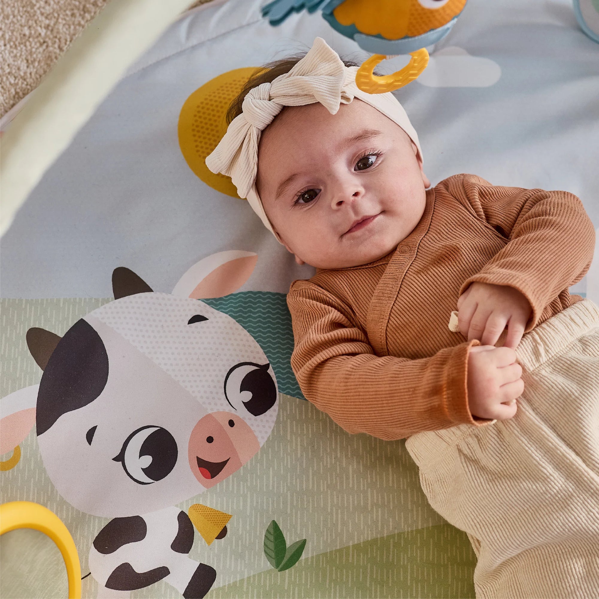 Tiny Love Farmers Funday Dynamic Gymini Playgym