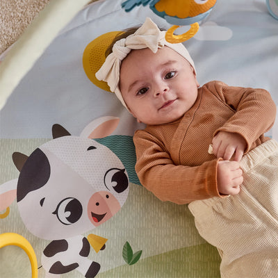 Tiny Love Farmers Funday Dynamic Gymini Playgym