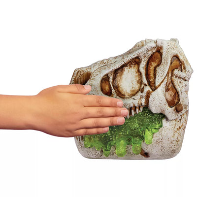 GrossMos Flying Dinosaur