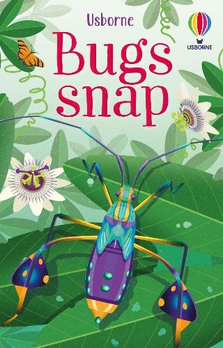Bugs Snap Game Cards
