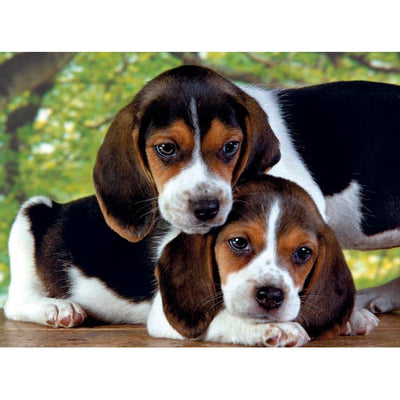 Clementoni 500pc Jigsaw Puzzle Puppies Close Together