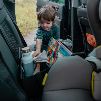 Ezimoov Ezi Storage Foldable Car Organizer