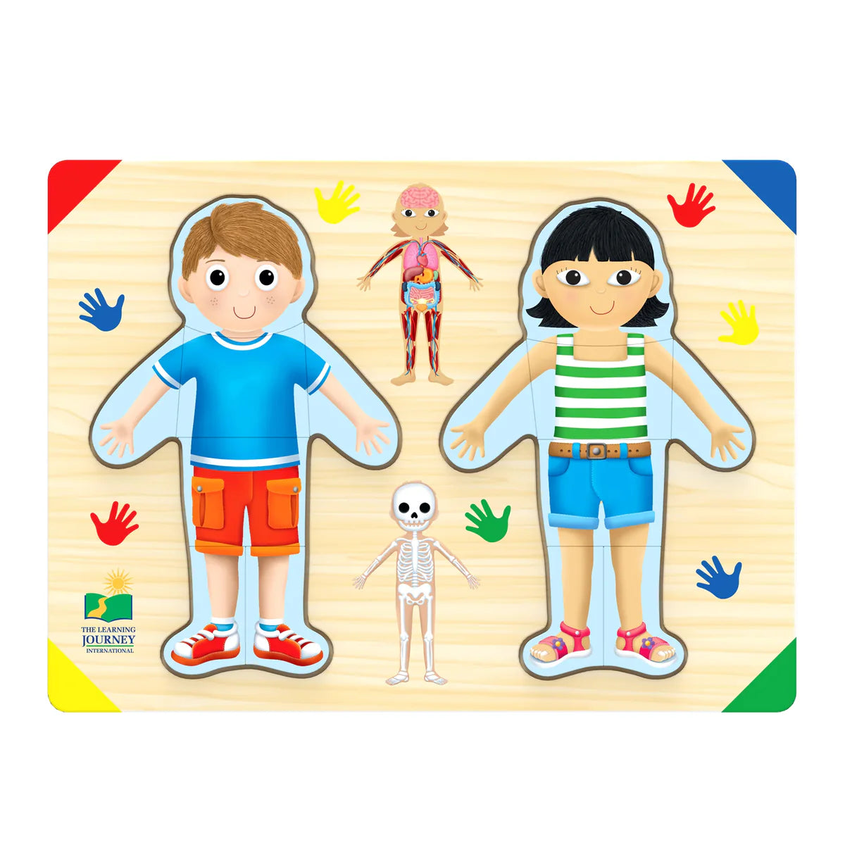 Lift And Learn My Body Wooden Puzzle