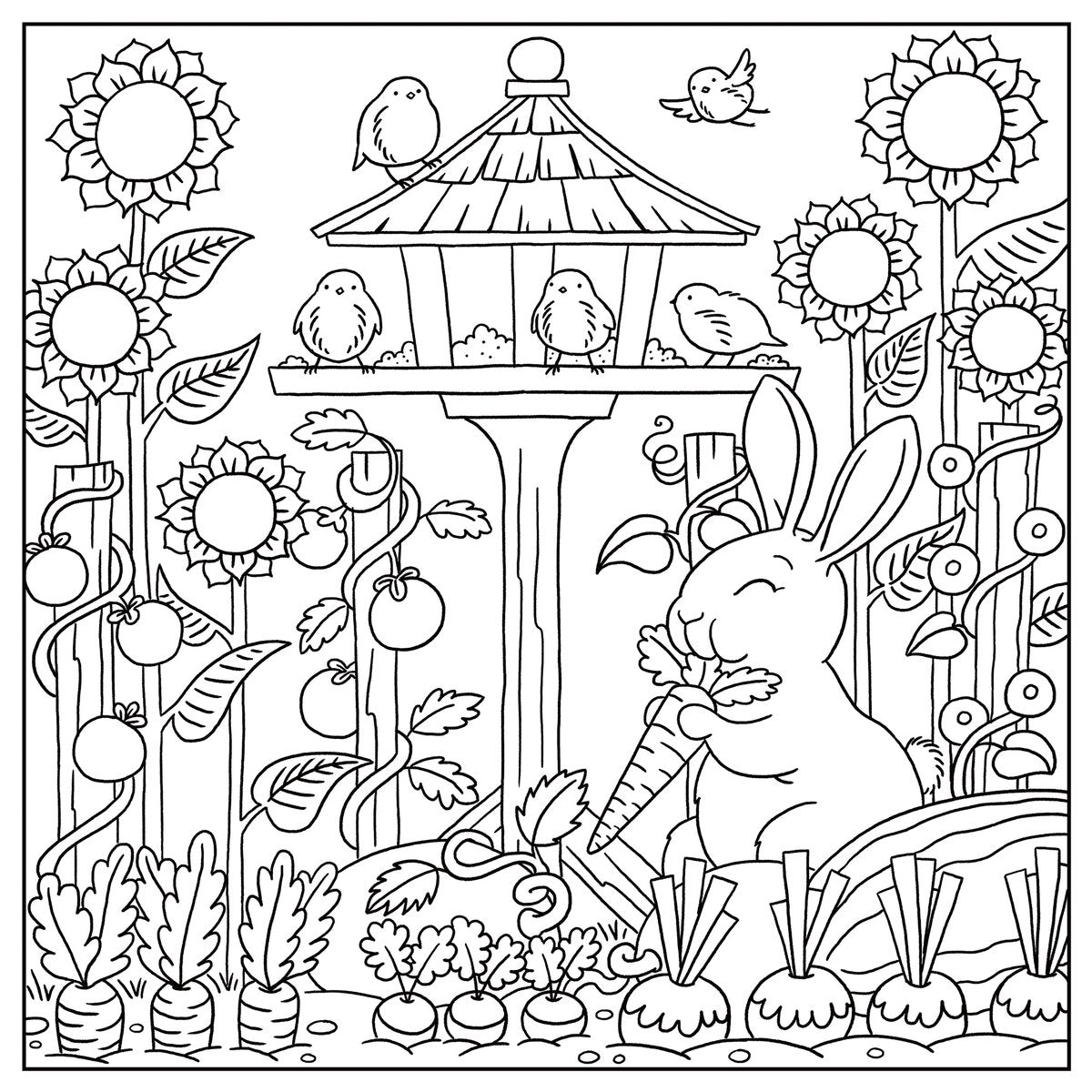Galt Colouring Book New