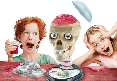 Science And Play Crazy Anatomy Playset