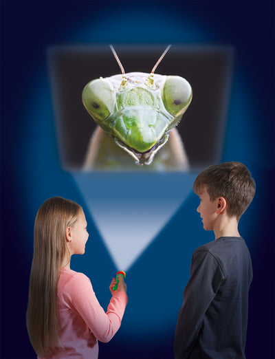 Natural History Museum Creepy Crawly Torch And Projector