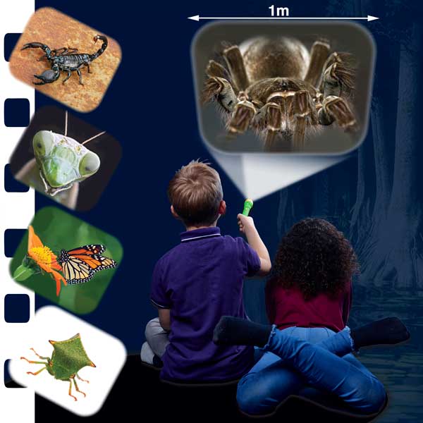 Natural History Museum Creepy Crawly Torch And Projector