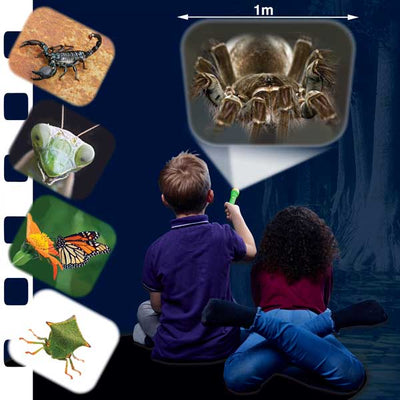 Natural History Museum Creepy Crawly Torch And Projector