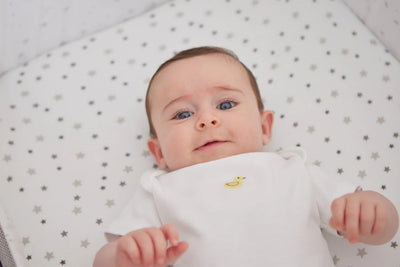 Baby Elegance 2pk Jersey Sheets Cot Grey