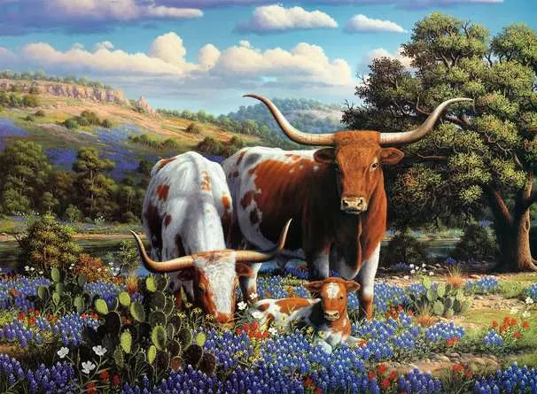 Ravensburger Loving Longhorns 500pc Jigsaw Puzzle