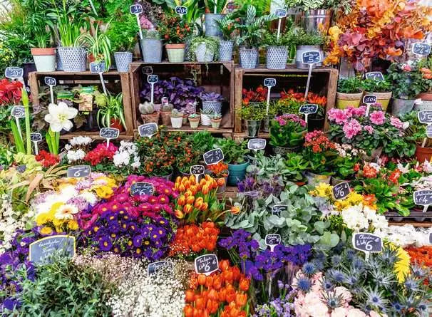 Ravensburger Flower Market France 500pc Jigsaw Puzzle