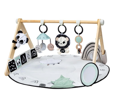 Tiny Love Luxe Developmental Gymini Playgym