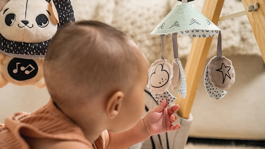 Tiny Love Luxe Developmental Gymini Playgym