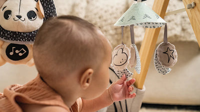 Tiny Love Luxe Developmental Gymini Playgym