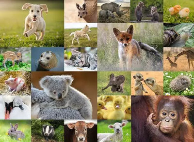 Ravensburger Baby Animals XXL 200pc Jigsaw Puzzle