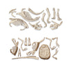 Jurassic World Glow In The Dark Dinosaur Dig Kit Triceratops And Velociraptor