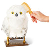 Harry Potter Enchanting Hedwig Interactive Harry Potter Owl