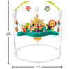 Fisher Price Leaping Leopard Jumperoo