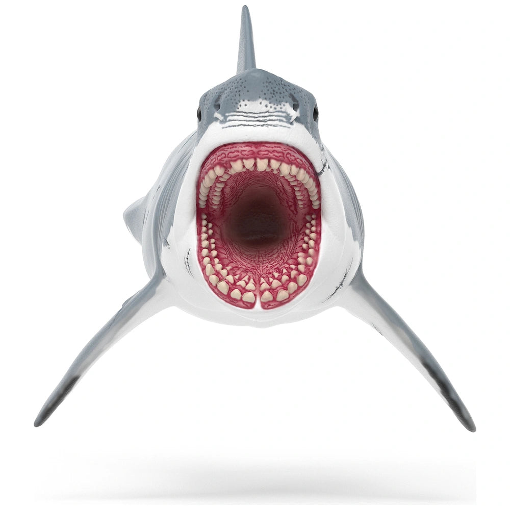Schleich Dinosaurs 15055 Megalodon