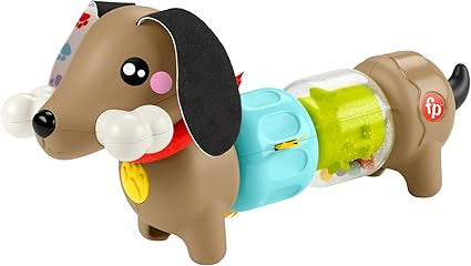 Fisher Price Click And Spin Activity Pup