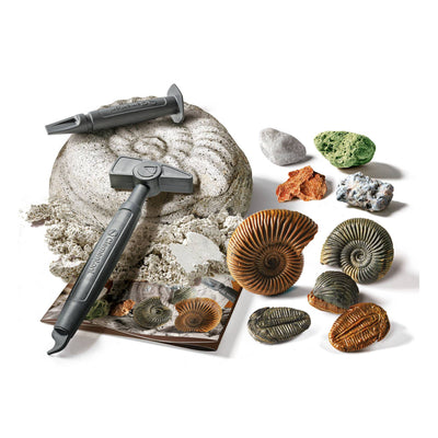 Science And Play Fossils And Minerals Dig Playset