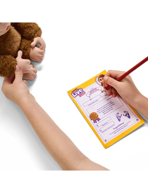 Little Live Pets My Baby Monkey