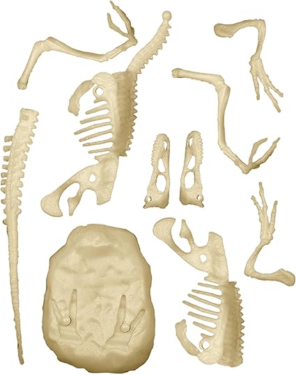 Science And Play Archeo Fun Velociraptor Dinosaur Glow In The Dark Dig Set