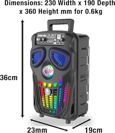 iDance Funky Skull FS 400 Karoke Speaker With LED Lights