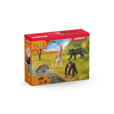 Schleich Wildlife 72162 4pc Wildlife Animal Set