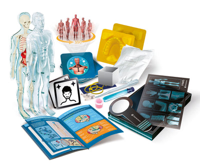 Science And Play Super Anatomy Playset