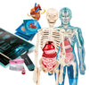 Science And Play Super Anatomy Playset