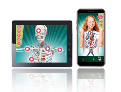 Science And Play Super Anatomy Playset