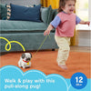 Fisher Price Walk The Pup Pug