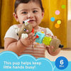 Fisher Price Click And Spin Activity Pup