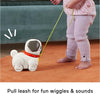 Fisher Price Walk The Pup Pug