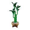 Lego Botanicals 10344 Lucky Bamboo