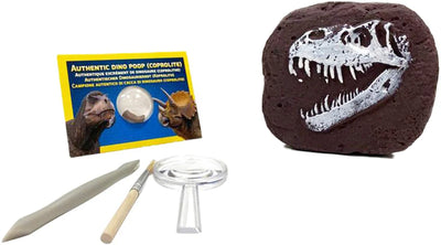 National Geographic Dino Fossil Dig Kit