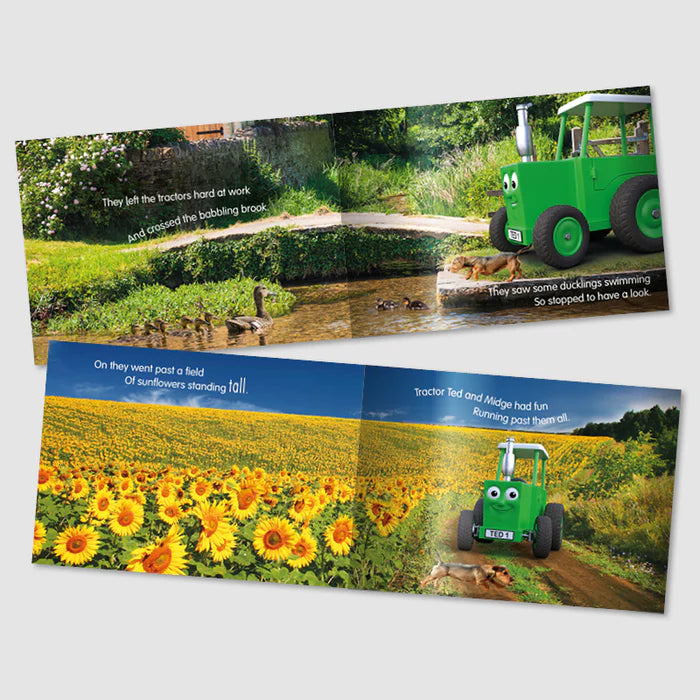 Tractor Ted A Summer's Day Storybook