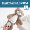 Zazu Brody The Bear Soother And Sleep Trainer