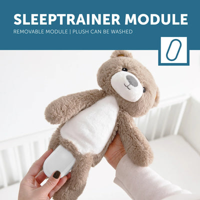 Zazu Brody The Bear Soother And Sleep Trainer