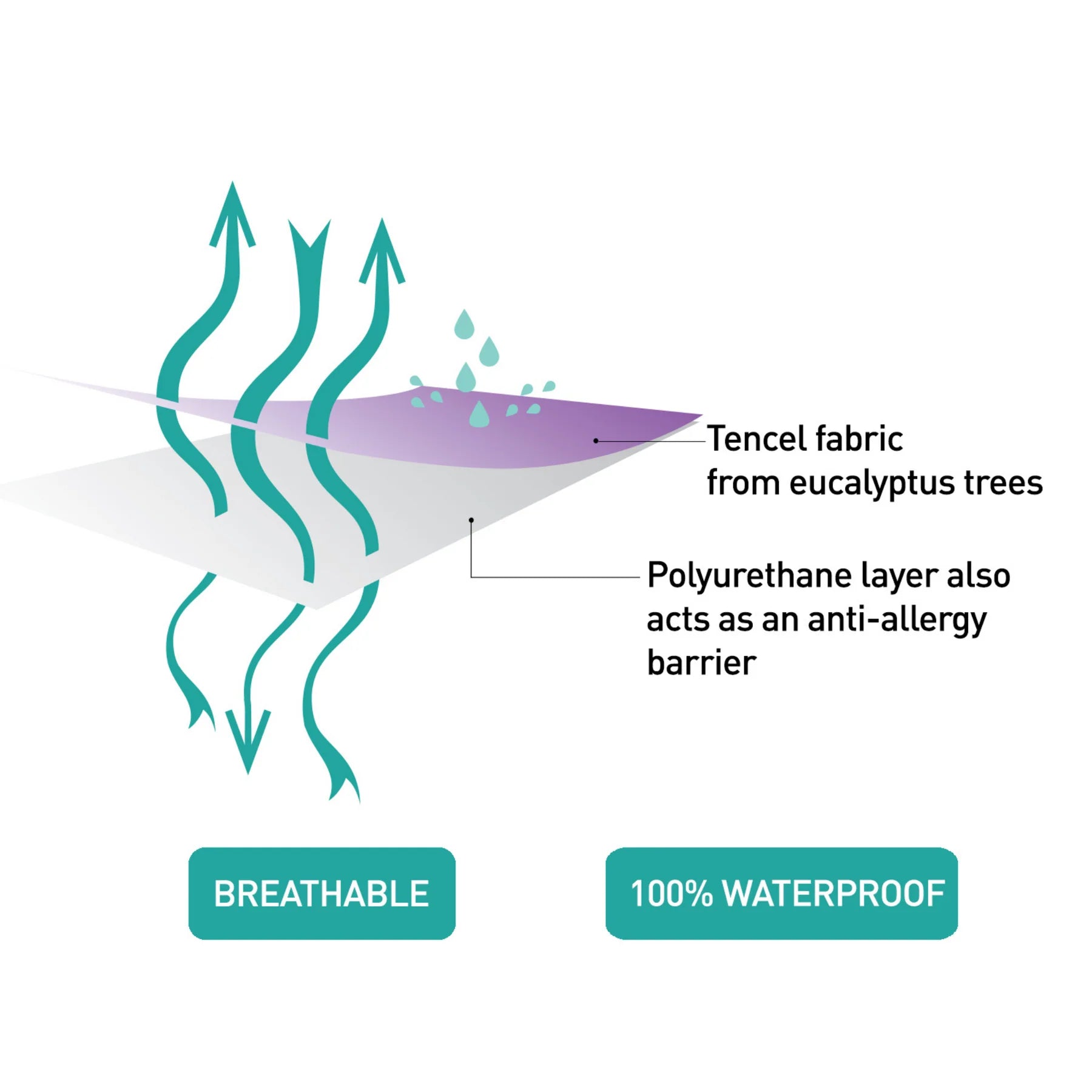 Clevamama Tencel Waterproof Cot Bed Mattress Protector 70cm x 140cm