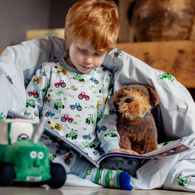 Tractor Ted Hide And Seek Storybook
